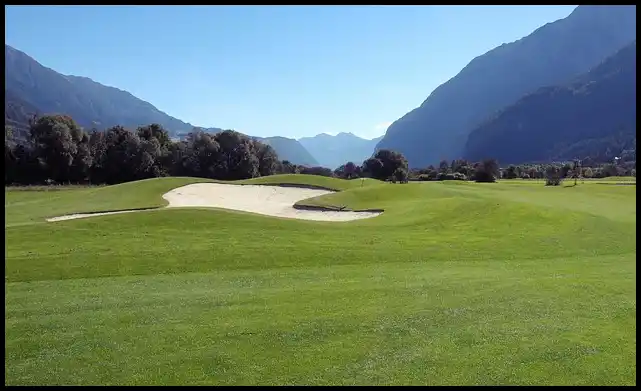 파크골프 용어 정리 (+ 해설 )