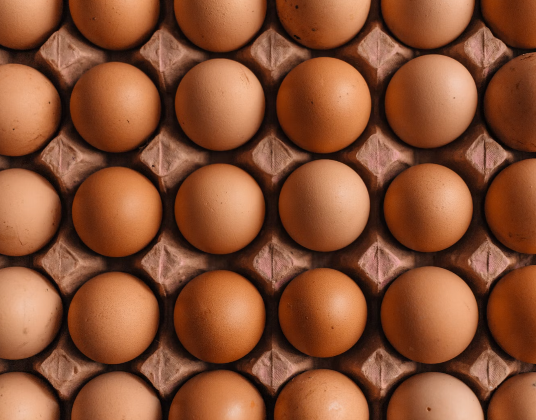 유통기한 지난 계란