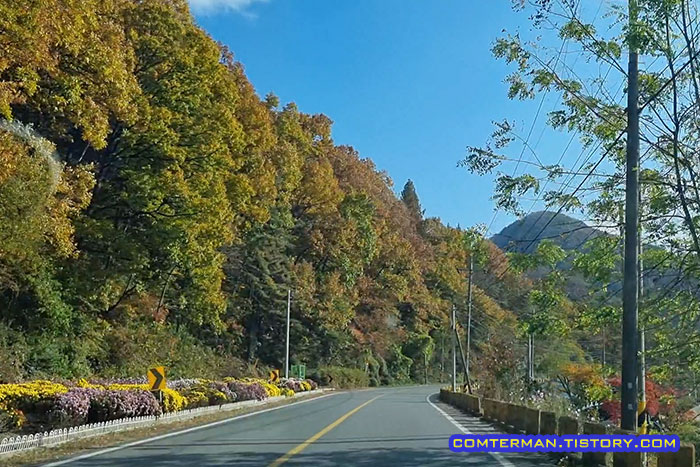 금산 가을 풍경