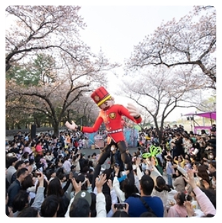 벚꽃 축제 일정 2024 벚꽃 만개 시기