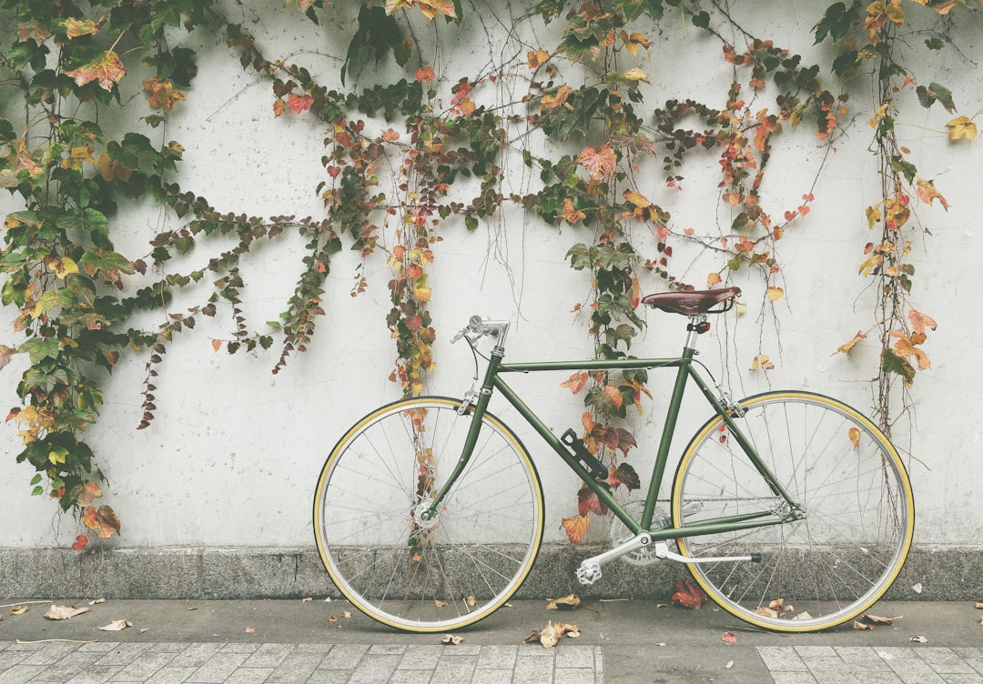Cycle