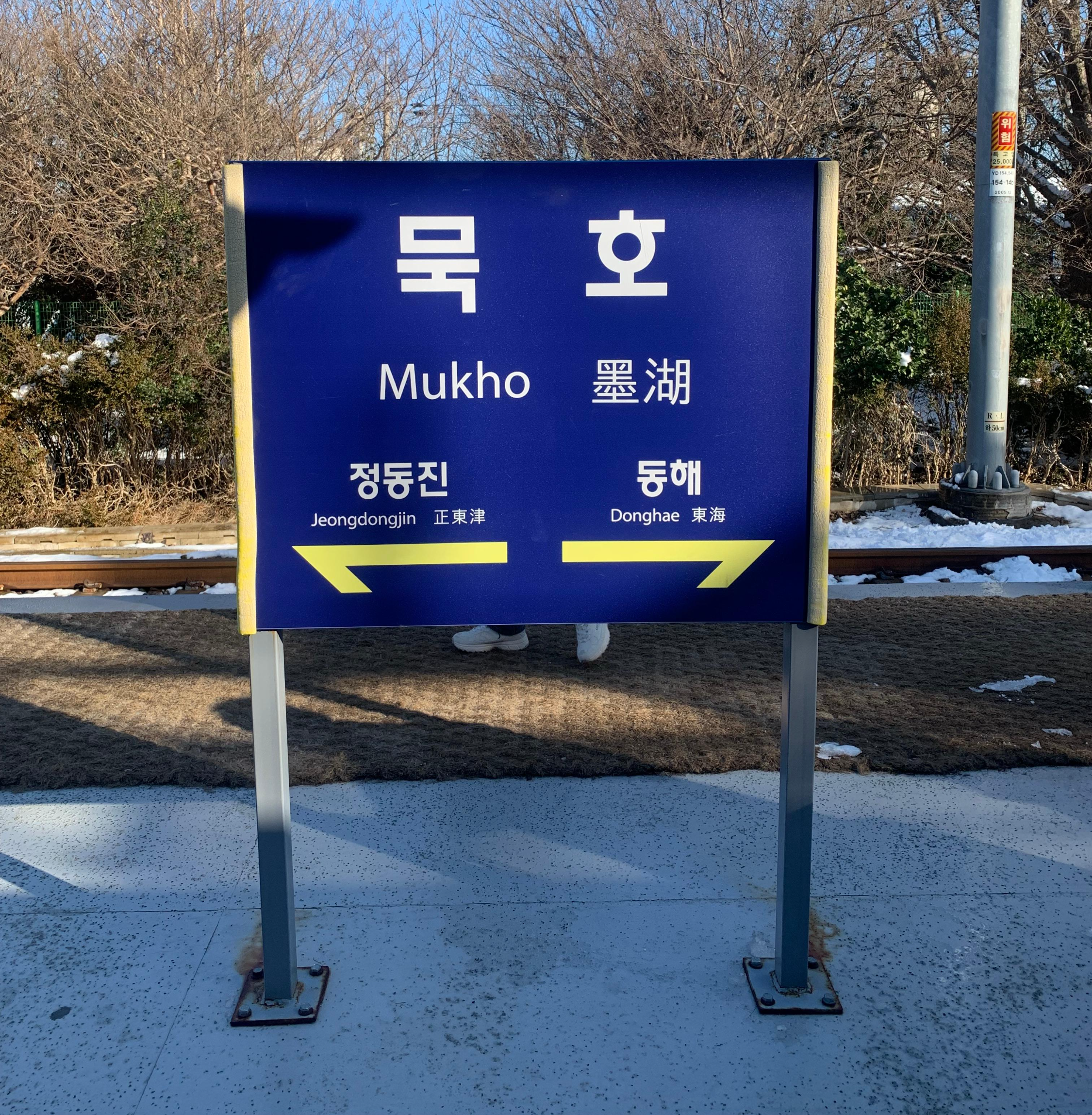 전현무계획에도 나온 묵호 오뚜기칼국수 후기🔥 겨울바다+장칼국수 조합 최고!