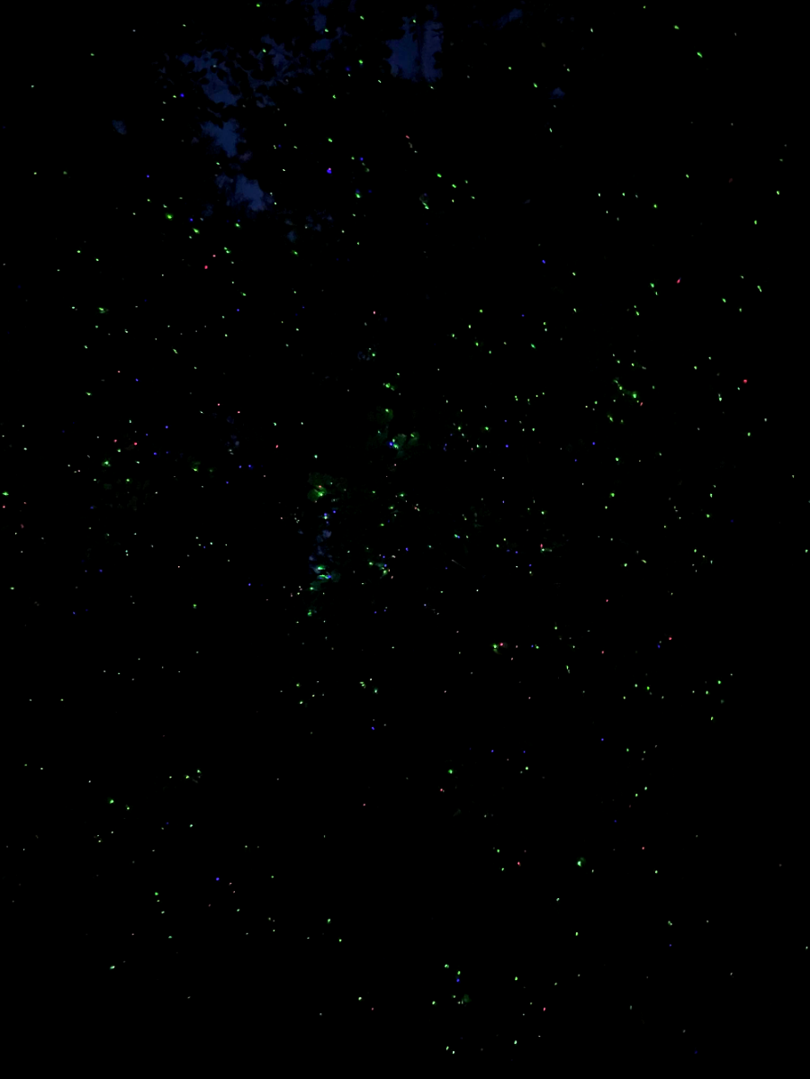 반딧불의 알레그레토