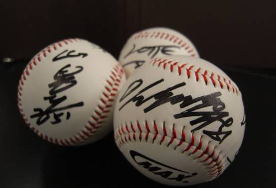 불꽃야구 티켓팅 사직야구장