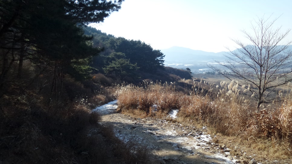 100대 명산 등산하기 열번째 지리산 바래봉(1,165m) 철쭉으로 전국적으로 유명하며, 지리산 북부 능선의 아름다움을 가장 가까이서 볼 수 있는 명소
