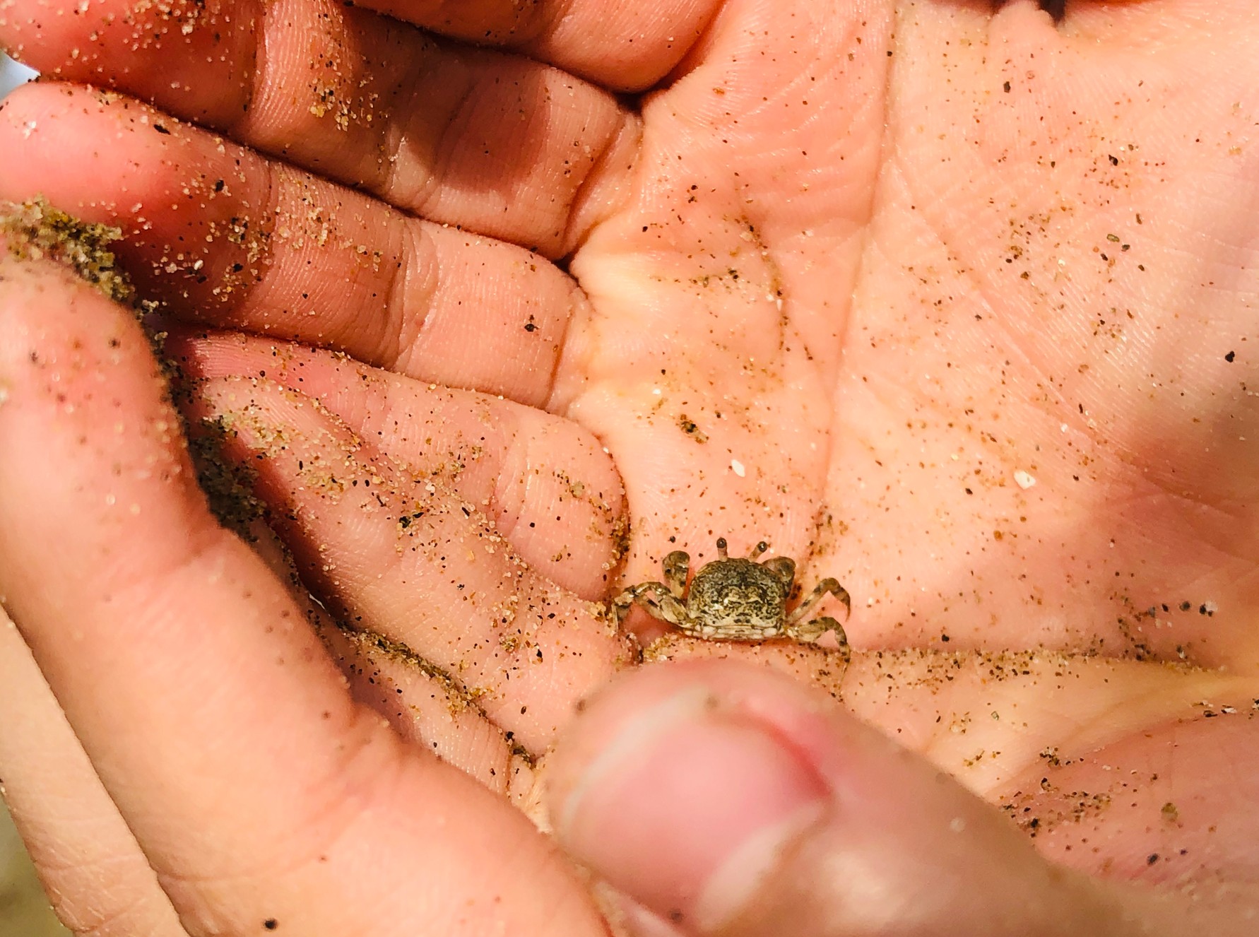 챗지피티 픽셀 캐릭터 이미지 변환 방법