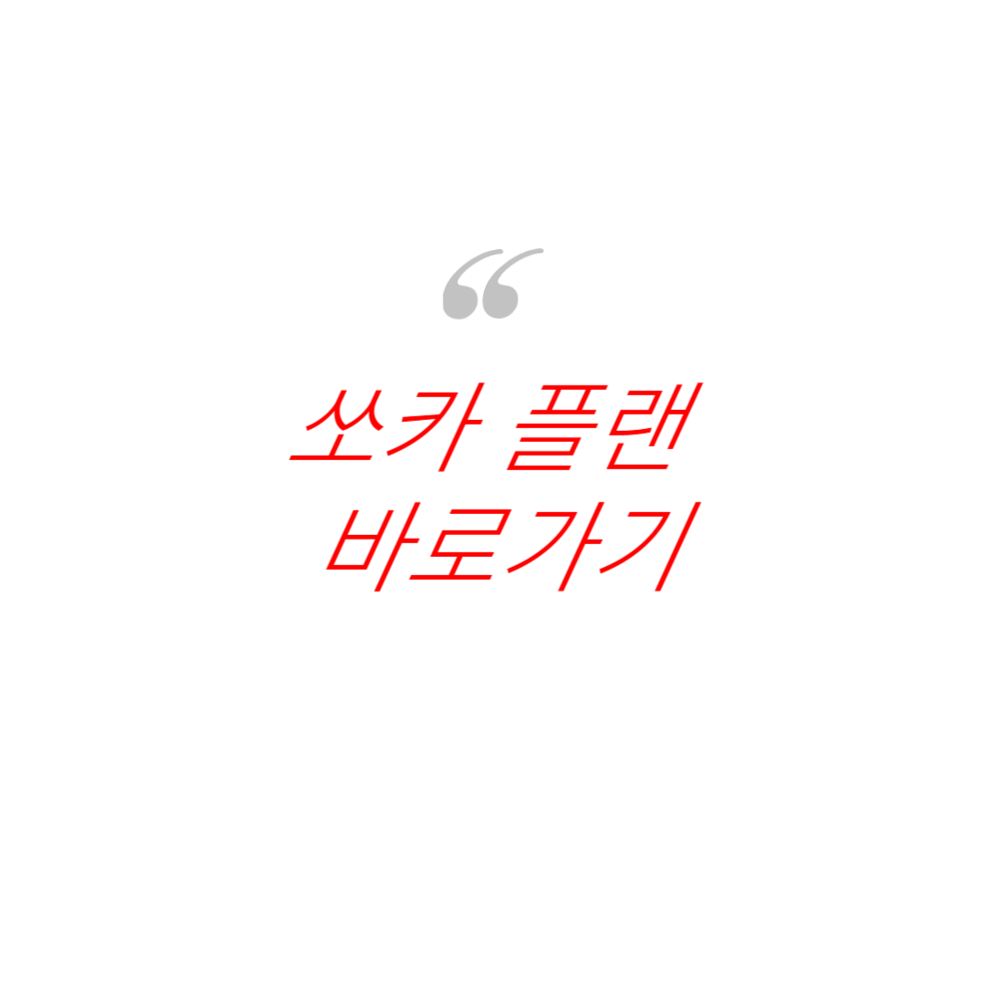 쏘카 플랜 사진
