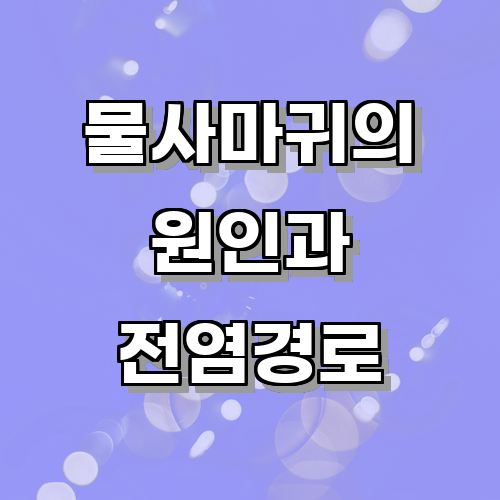 물사마귀의 원인과 전염 경로에 대해 알아보는 글