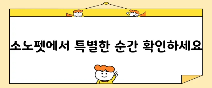애견 동반 국내 여행 강원도 강아지 호텔 소노펫 홍천에서 특별한 경험을 만나보세요