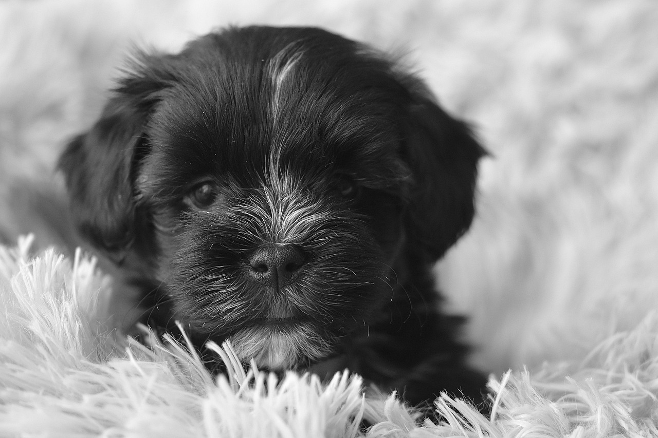 저체온증 전조증상과 대처법 (10)