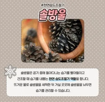 습도 높은날 제습 모드 빨래 건조 곰팡이 차단법_18