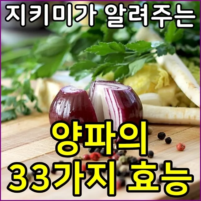 gg_양파 효능_19