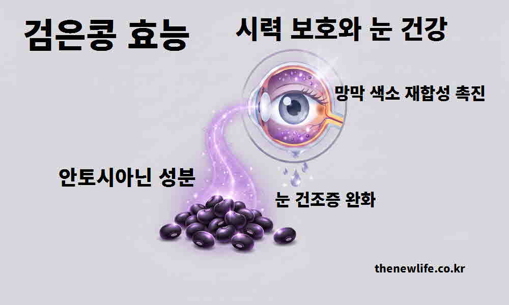 검은콩 효능 시력 보호 눈 건강