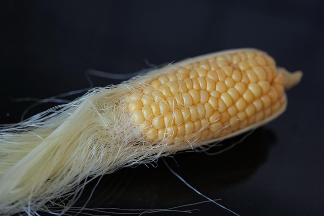 옥수수수염