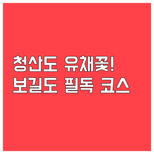 완도 청산도 유채꽃 개화 시기와 보길..