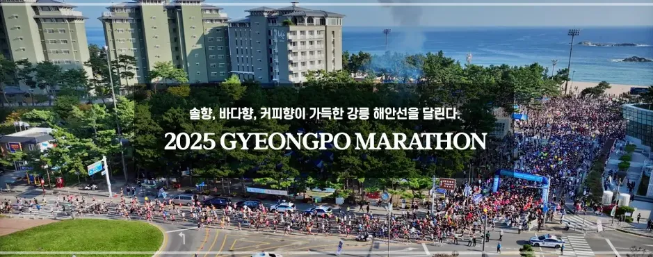경포마라톤-홈페이지-항공사진-캡처