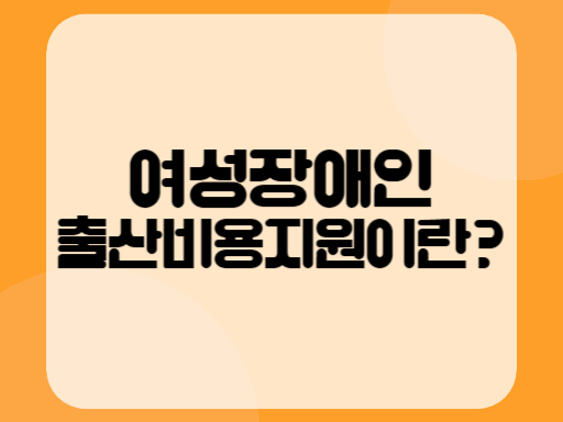 여성장애인출산비용지원