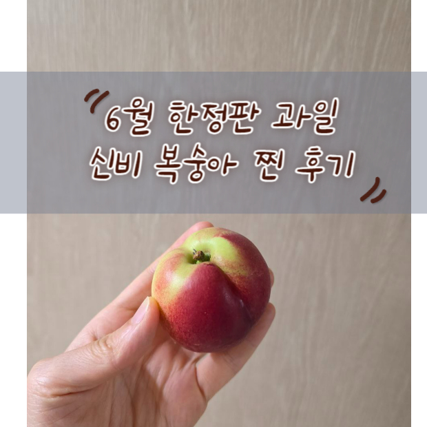 신비 복숭아 찐후기! 6월 한정판 과일 지금 아니면 못 먹어요