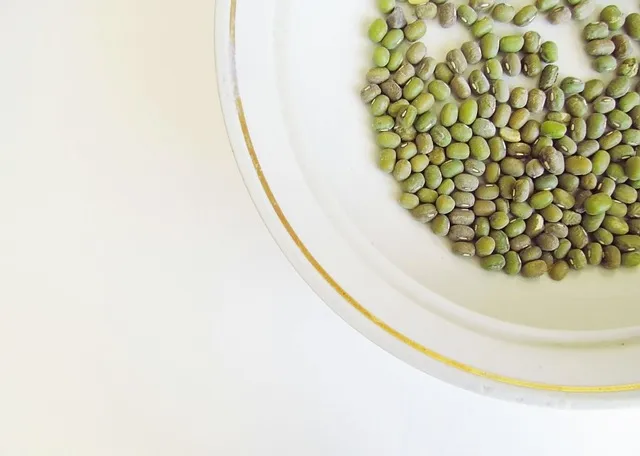 녹두전 만드는 방법 반죽 비율 비법_4