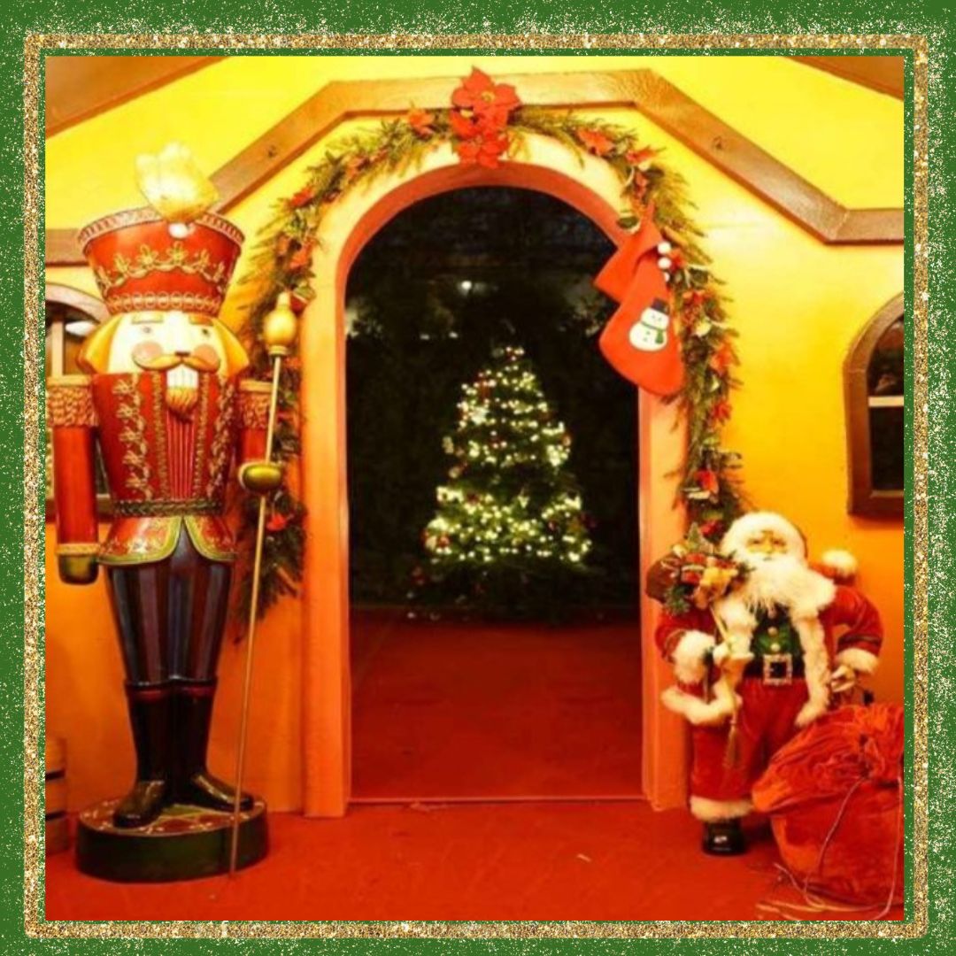 대구/네이처파크/미라클/크리스마스