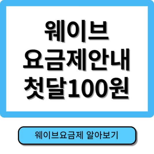 웨이브 요금제