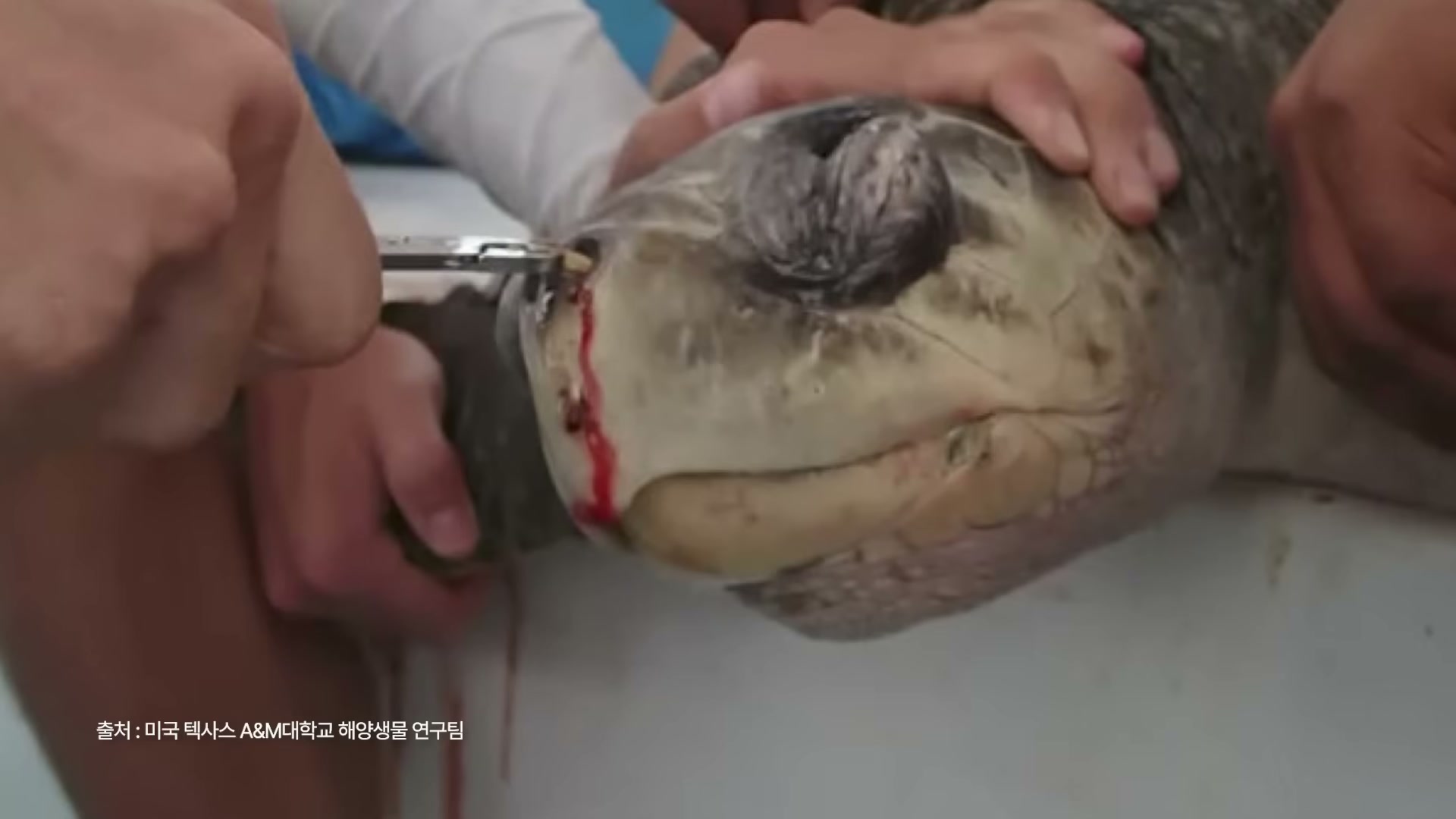 동일프라텍 노승현 차장의 인물 컷 또는 강연자 카드.