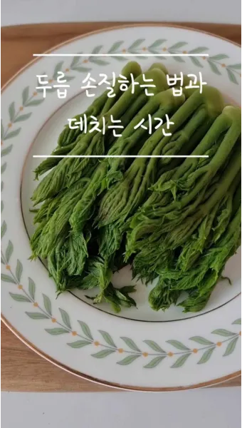 개두릅 참두릅 차이 섭취방법_24