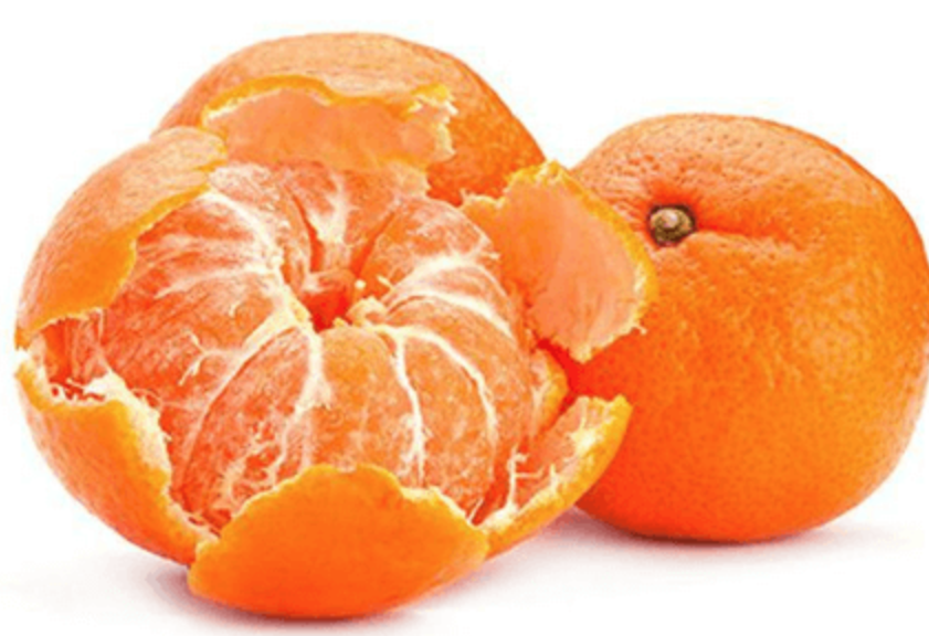 기침완화에좋은 식품