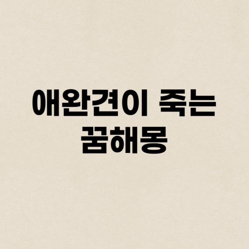 애완견이 죽는 꿈해몽