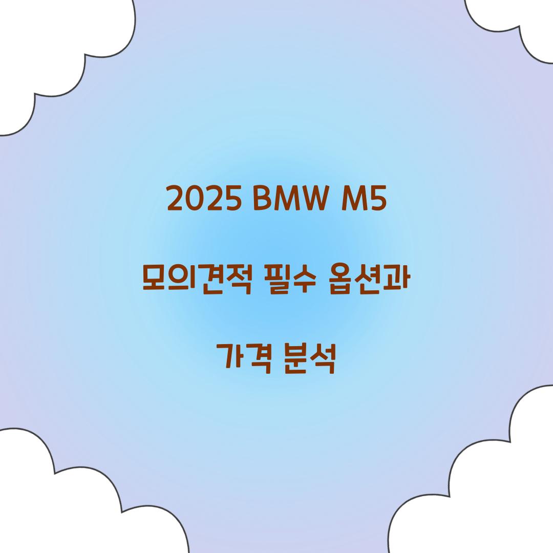 2025 BMW M5 모의견적