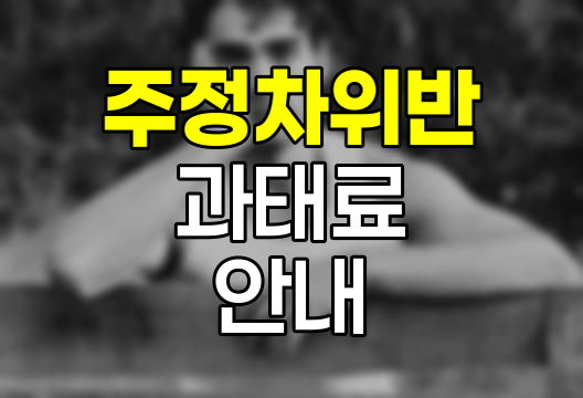 주정차위반 과태료 핵심 정보