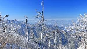 겨울여행 떠나고 싶은 곳 베스트 3. 덕유산