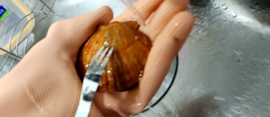 포크로 홍가리비 표면을 손질하는 사진입니다.