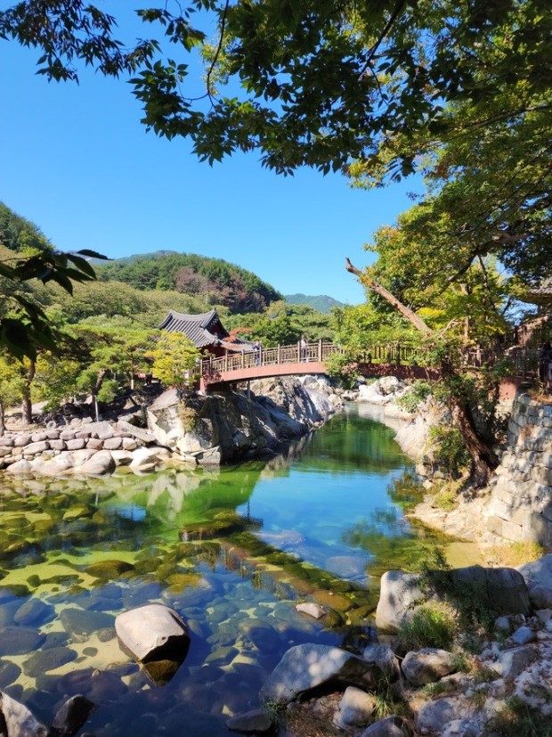 생생정보 산양삼 문의, 지리산, 용추폭포, 가족 여행, 데이트 코스 가볼만한 곳, 휴양 마을, 숙소 추천 문의 연락처 소개 방송
