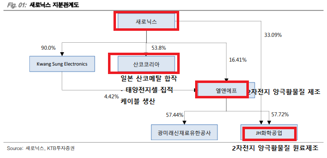 새로닉스 지분관계도