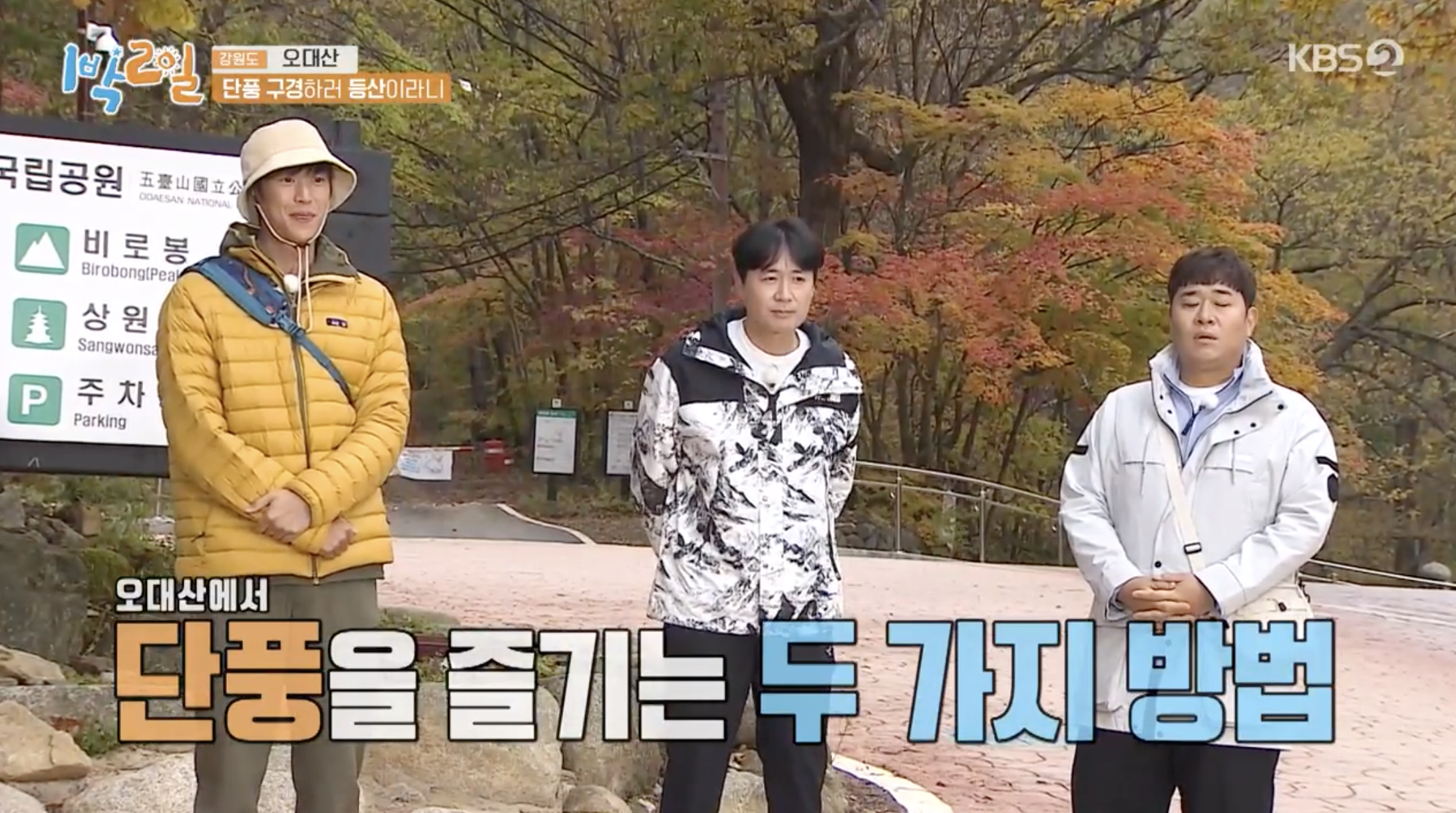 1박2일 가을여행지 오대산