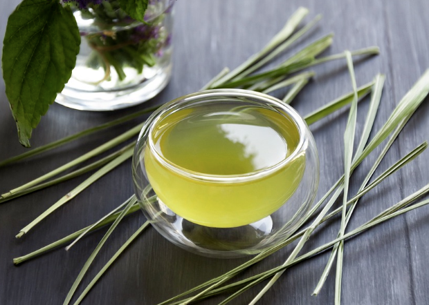 내 손으로 키워 더 건강하게! 항산화 식물 키워서 요리하기