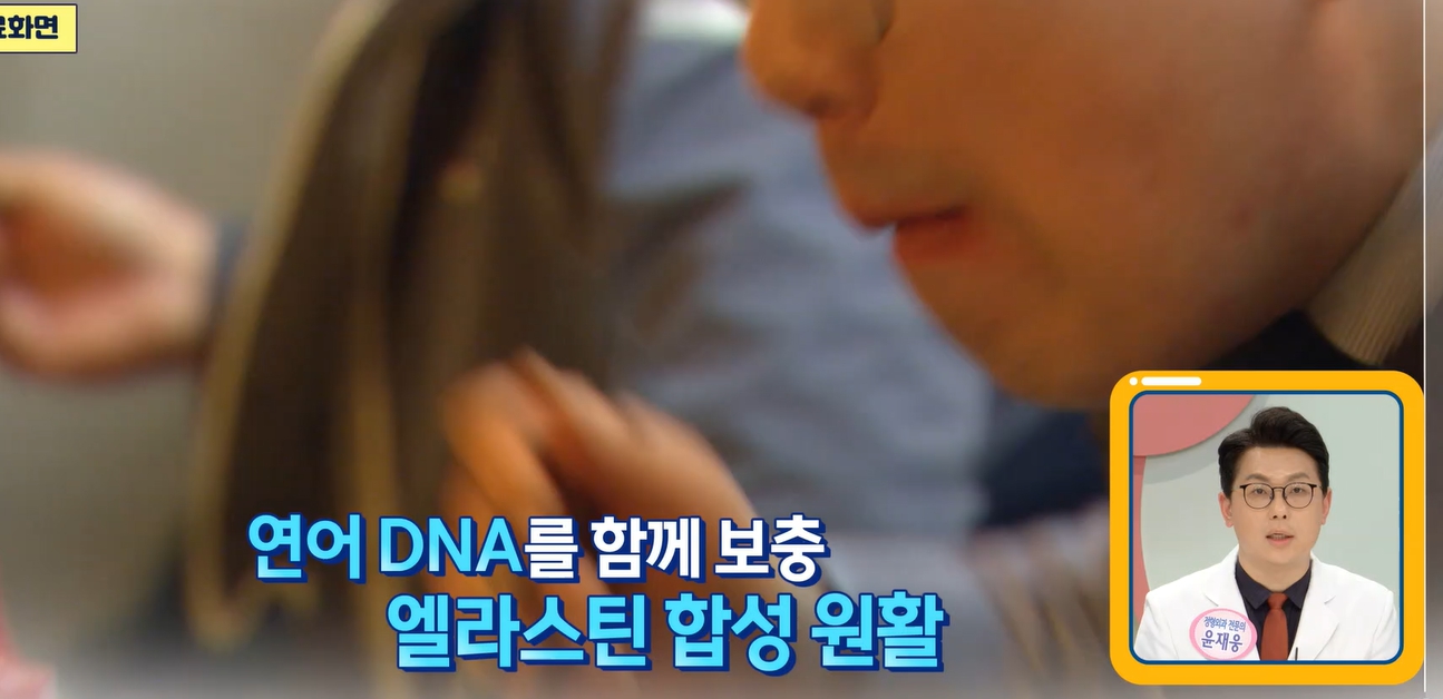 말 엘라스틴 먹는 법