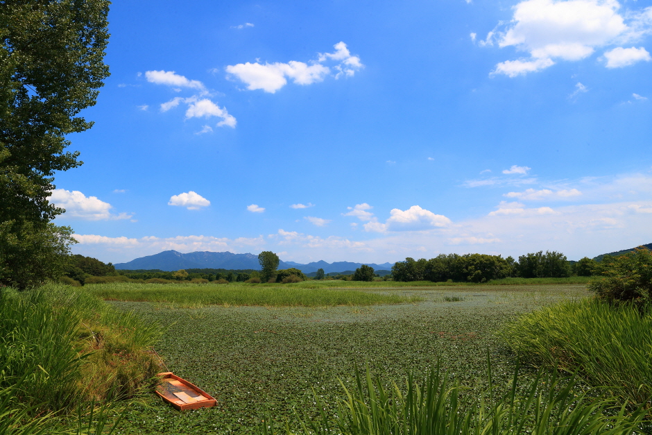 창녕 우포늪 둘레길