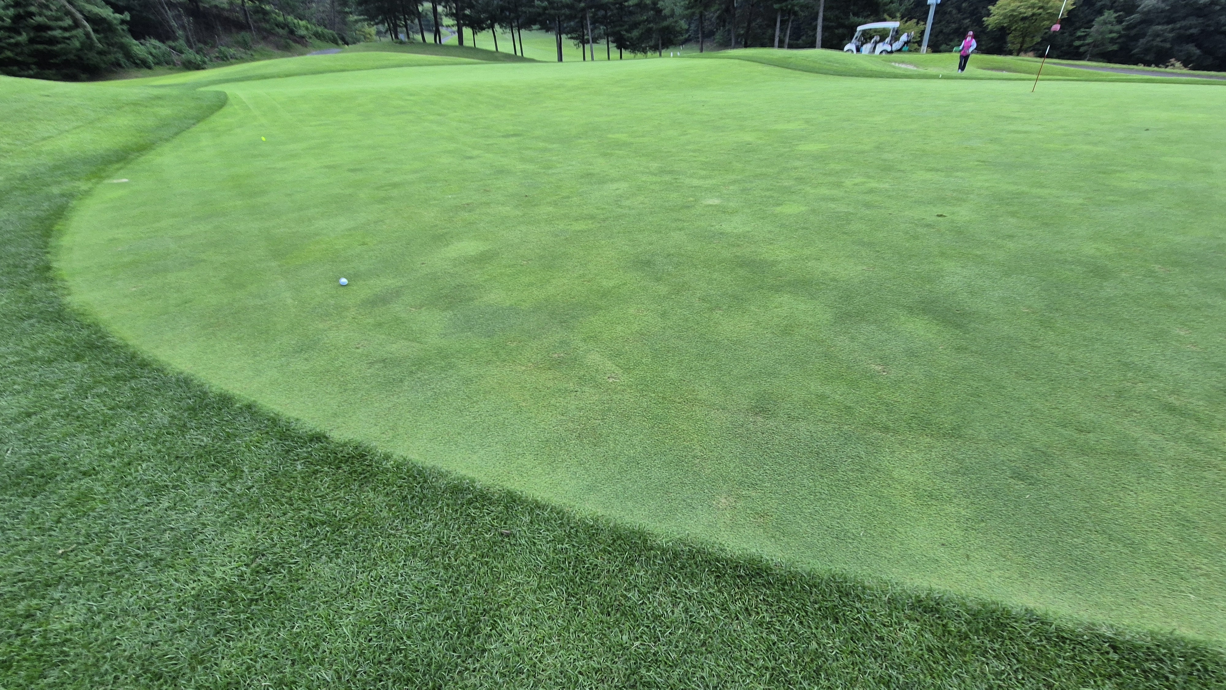 동원썬밸리cc 라운드 후기