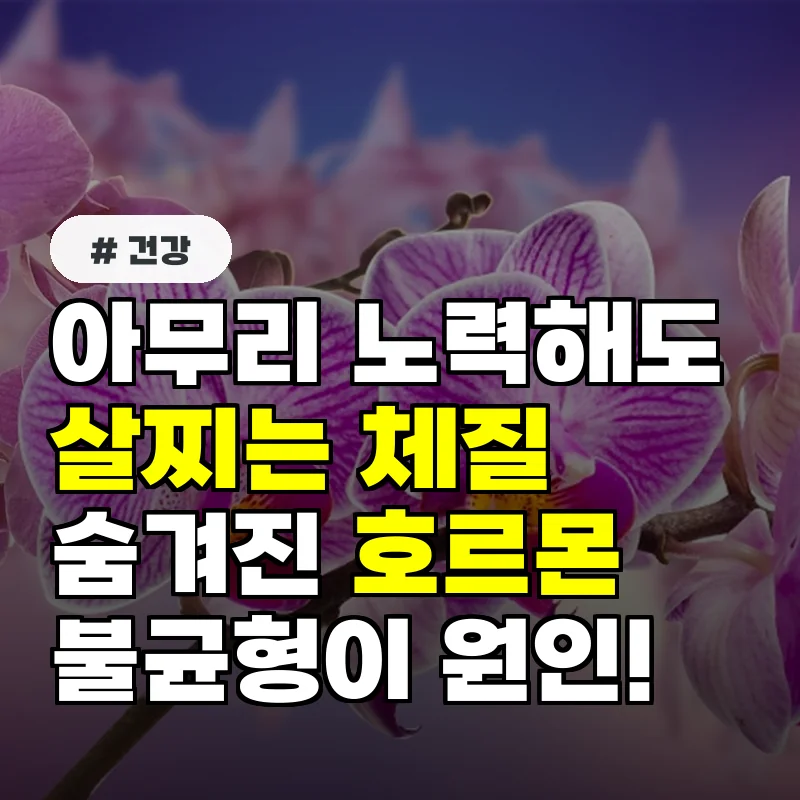 아무리 노력해도 살찌는 체질이라면 숨겨진 '이 호르몬' 불균형이 원인