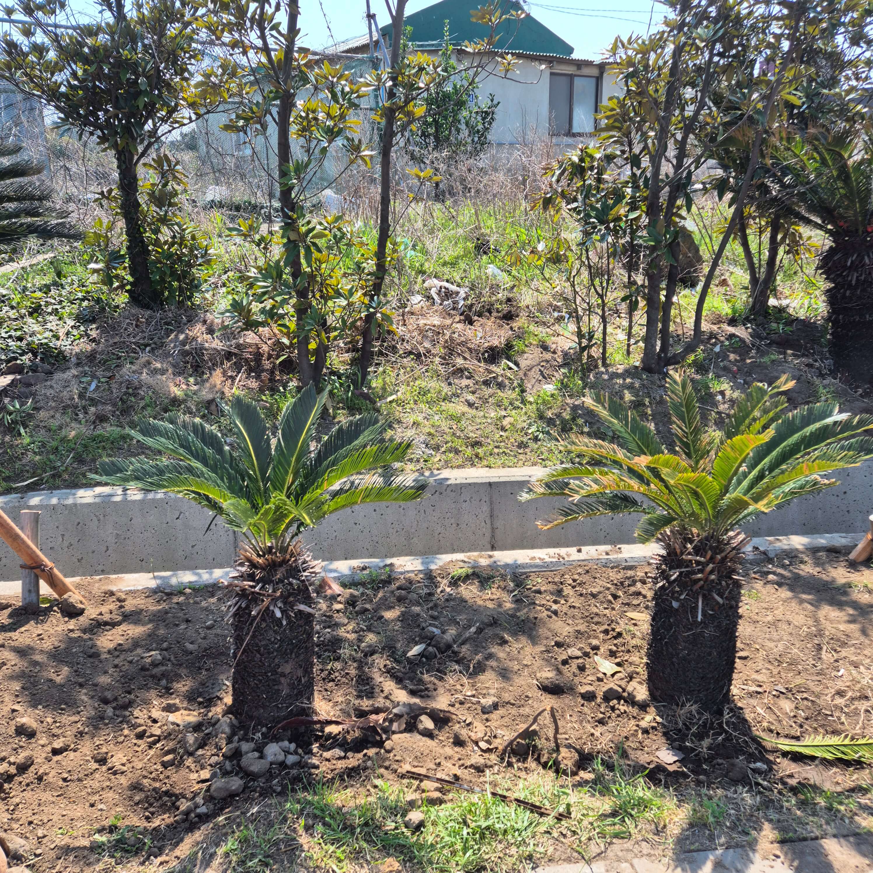 두드러기 가라앉히는법