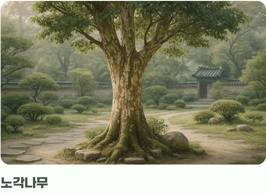 5. 당신의 정원을 위한 더 현실적인 대안