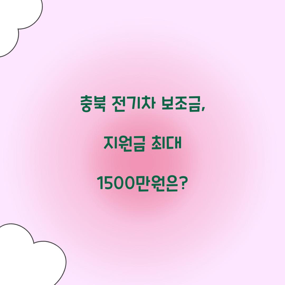 충북 전기차 보조금