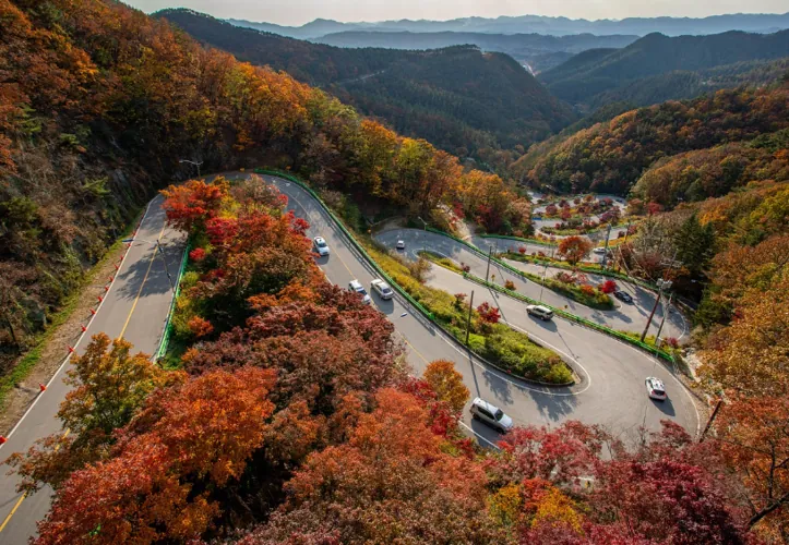 서울 서초 경부고속버스터미널 운행시간표 조회 및 예매 방법