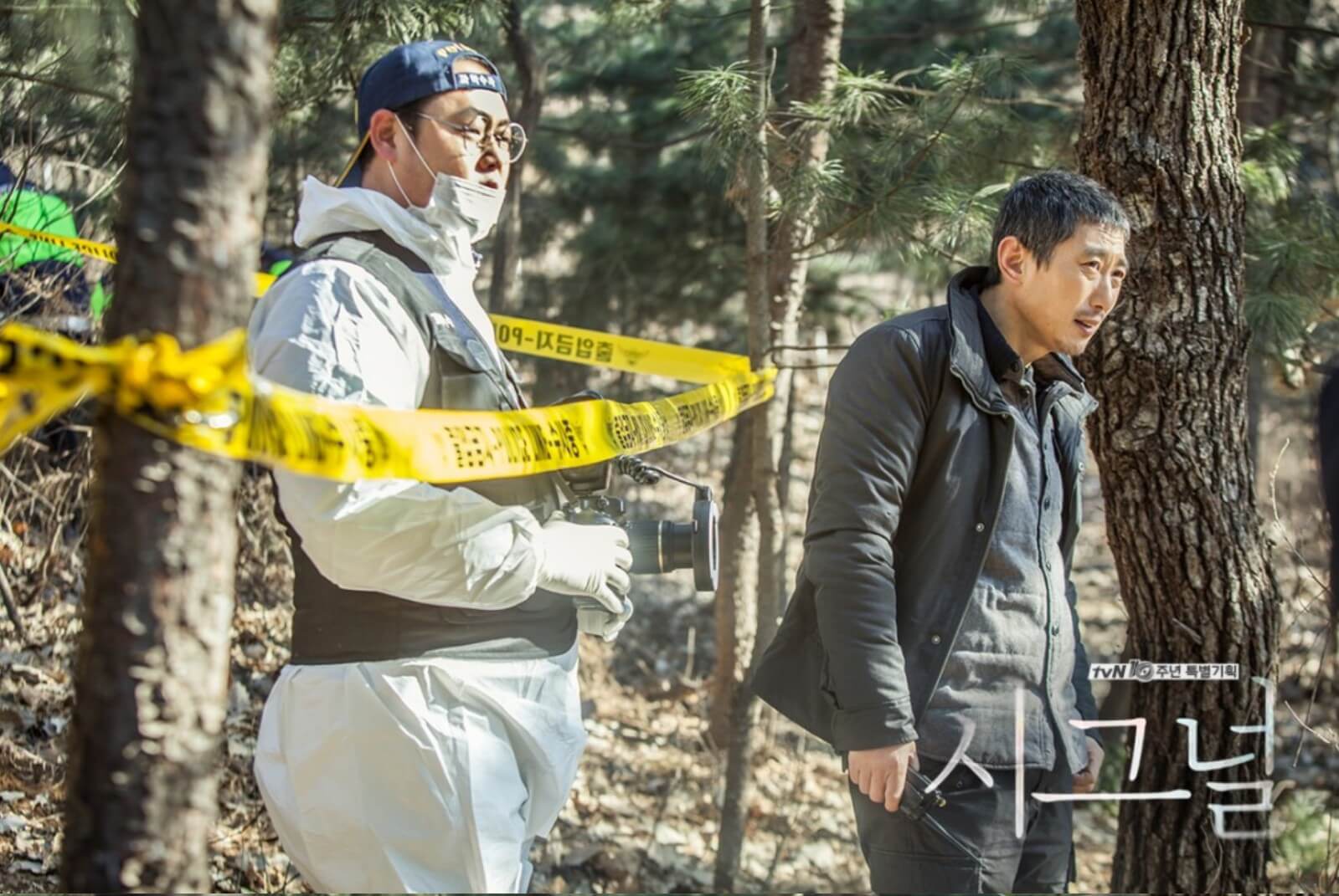 시그널 다시보기