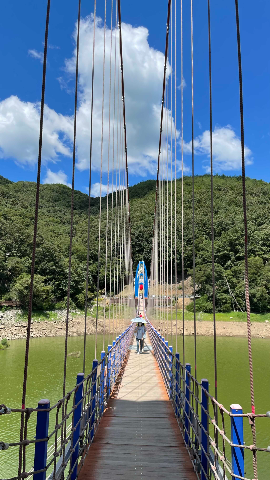 청양 천장호 출렁다리