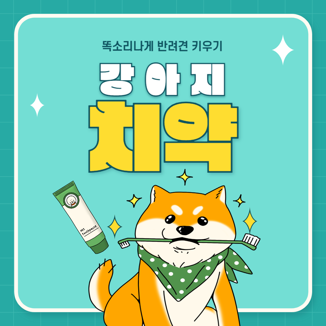 강아지 치아 건강을 위한 치약에 대한 모든 것