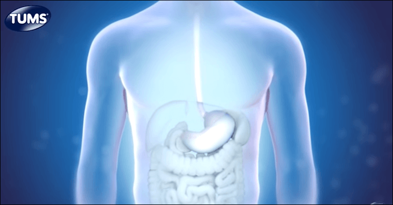 텀스 소화제 효능 부작용