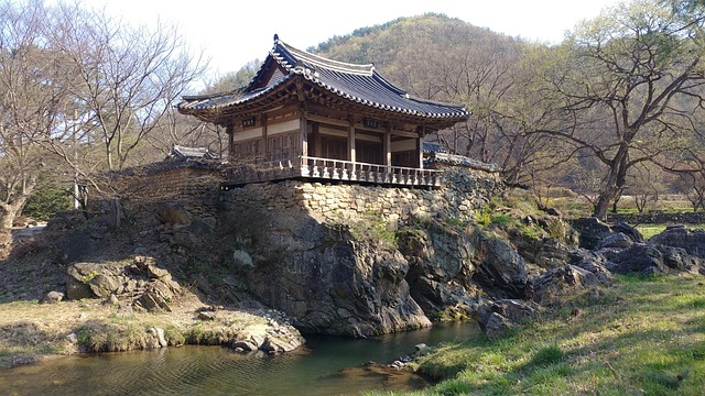 예천군 먹거리, 볼거리 사진